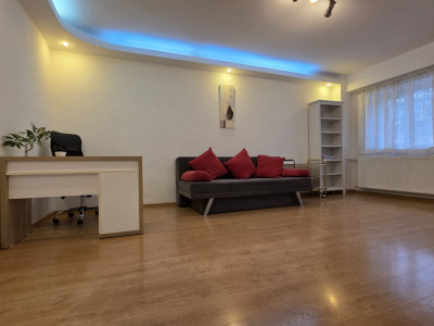 Garsoniera in Piata Victoriei - Grigore Alexandrescu