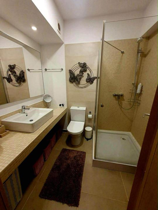 Inchiriere garsoniera Grozavesti terasa si parcare