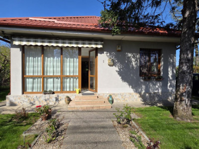 Inchiriere casa singur curte Voluntari