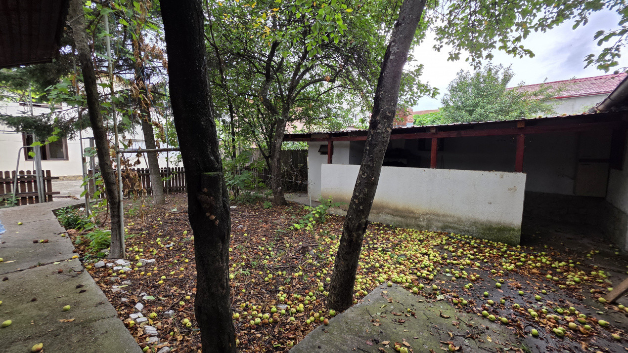 Casa singur curte Orasul Pantelimon - teren 432 mp